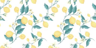 blomning gul citroner, på gren med löv och knoppar blommor sammanflätade i en sömlös mönster. hand teckning. abstrakt konstnärlig citrus- frukt upprepad utskrift på en vit bakgrund. vektor