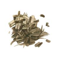 infusionsanordning, te. torkades ört- te löv är brun i Färg. vattenfärg illustration. Allt element är hand målad med vattenfärger. lämplig för utskrift på förpackning och papper, textilier, kök vektor