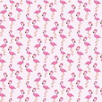 Flamingo nahtlos Muster vektor