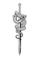 svart och vit illustration av en orm på en svärd vektor