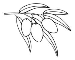 grafisch abbilden ein Ast von ein Olive Baum. reif Beeren zum Olive Öl Etikett. Element von ein Warenzeichen, Logo. Weiß Hintergrund, einfarbig Illustration. Gravur. vektor