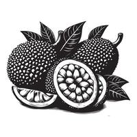 Jackfrucht, schwarz Farbe Silhouette vektor