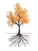 Herbst Baum mit Wurzeln und Blätter Illustration vektor