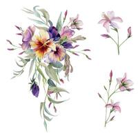 Hand gezeichnet Aquarell Illustration botanisch Blumen Blätter. Stiefmütterchen Viola, Asche Ahorn Schlüssel Samen, Rosa Lobelie Jasmin, Weide Eukalyptus. Strauß isoliert Weiß Hintergrund. Design Hochzeit, Liebe Karten vektor