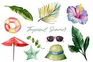 Aquarell tropisch Satz. Hand gezeichnet Sommer Clip Art. Sommer- Elemente. exotisch Blume. Palme Blätter. vektor