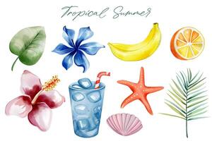 Aquarell tropisch Satz. Hand gezeichnet Sommer Clip Art. Sommer- Elemente. exotisch Blume. Palme Blätter. vektor