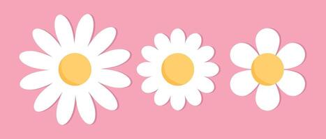 süß Kamille Blumen. süß Kamille Blume Symbole einstellen auf Rosa Hintergrund. Kamille oder Gänseblümchen mit Weiß Blütenblätter. Pflanze Blume Kopf Zeichen Symbol. Illustration vektor