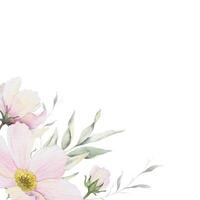 kosmos blommor och löv. isolerat hand dragen vattenfärg ram av rosa cosmea. sommar blommig av rosa vild krans för bröllop inbjudningar, kort, förpackning av varor vektor