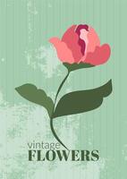 Rosa Rose mit Text auf ein Jahrgang texturiert Grün Hintergrund. Blumen- Illustration zum Gruß Karten, Poster, Hochzeit Einladungen, Sozial Medien und Mehr Design vektor