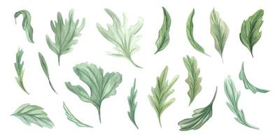 löv löv av olika former. abstrakt och realistisk grönska. enkel botanisk grön element för din design. vattenfärg illustration. klämma konst för dekoration, mall vektor