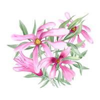 bukett av rosa blommor och eukalyptus gren. grön löv och magnolia blommor. vattenfärg illustration för vykort, inbjudan, hälsningar vektor