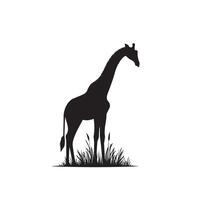 Giraffe Silhouette Design. Giraffe Logo, Giraffe Illustration. vektor