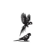 Papagei Silhouette auf Weiß Hintergrund. Vögel Silhouette. Papagei Logo, Illustration vektor