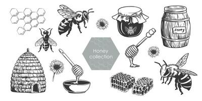 Honig Satz. Jahrgang Bienenzucht Abbildungen im skizzieren Stil. Hand gezeichnet Gravur Nachahmung von Bienenstock, Bienenwabe, Biene, Löffel, Krug, Fass. vektor