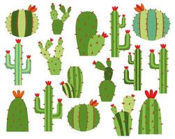 kaktus uppsättning för bakgrund vektor