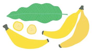 Illustration von Bananen und Grün Blatt mit Banane Scheiben auf Weiß Hintergrund, tropisch Obst Design. vektor