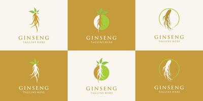 ginseng logotyp ört- växt naturlig ört- medicin ginseng ört- ikon bunt premie vektor