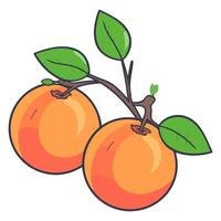 en ikon skildrar ett aprikos, idealisk för illustrerar frukt, mat, eller friska äter teman. vektor