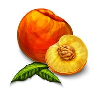 Orange natürliche organische Pfirsichfrucht