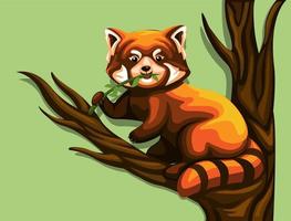 kinesisk röd panda som äter löv i träd. exotiska djur illustration tecknad vektor