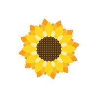 solros ikon i platt stil. flora illustration på isolerat bakgrund. solros tecken företag begrepp. vektor