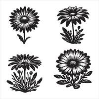 Gänseblümchen Blume Silhouette Symbol Grafik Logo Design vektor