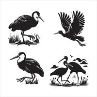 afrikansk jacana silhuett ikon grafisk logotyp design vektor