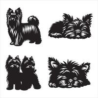 affenpinscher Hund Silhouette Symbol Grafik Logo Design vektor