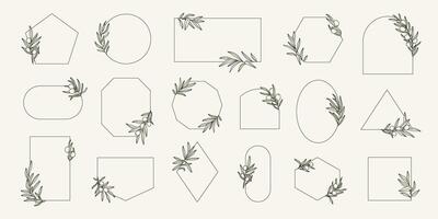 minimal Frames einstellen mit Olive Geäst im minimal linear Stil. Blätter und Olive Früchte . Logos Vorlage mit Olive Pflanzen. vektor