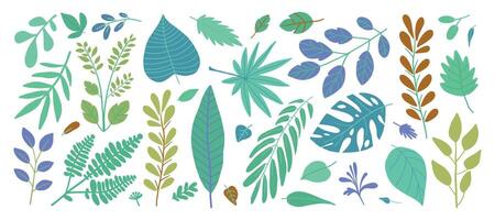 Illustration von verschiedene bunt tropisch Blätter und Geäst im anders Formen und Größen. vektor
