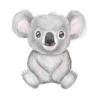 süß Porträt Koala im Karikatur Stil. vektor