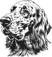 Englisch Setter Hund Clip Art, Englisch Setter schwarz vektor