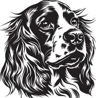 Englisch Cocker Spaniel Hund Clip Art, Englisch Cocker Spaniel schwarz vektor