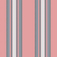 mönster bakgrund rader av textur rand med en textil- tyg sömlös vertikal. vektor