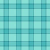 Textil- Tartan Muster von Textur Stoff Hintergrund mit ein Plaid nahtlos überprüfen. vektor