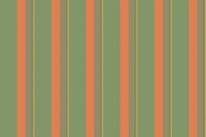 tyg mönster textur av textil- vertikal sömlös med en rader bakgrund rand. vektor