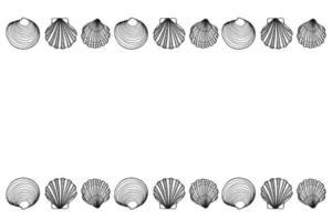 snäckskalsram. hav och hav formgivningsmall. vektor illustration. vektor kort mallar. perfekt för visitkort, inbjudningar, bröllop och webbdesign