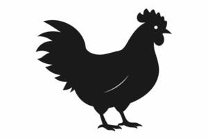 silhuett av en tupp stående. svart kyckling illustration, fågel figur, enkel djur- ikon design begrepp. svart silhuett isolerat på vit bakgrund. vektor