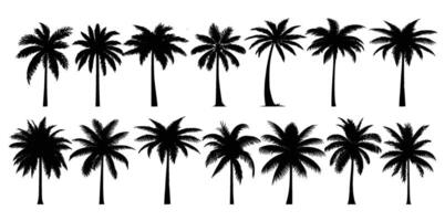 Reihe von Silhouetten von Palmen vektor