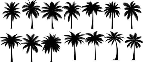 schwarz Palme Bäume einstellen isoliert auf Weiß Hintergrund. Palme Silhouetten. vektor