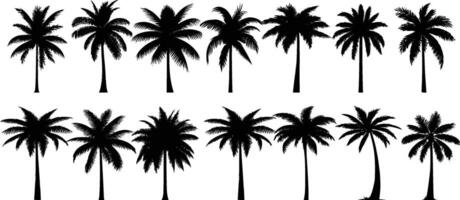 schwarz Silhouetten von Palme Bäume isoliert auf ein Weiß Hintergrund. vektor