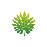 Grün Blatt Symbol grün. Elemente Design zum natürlich, Öko, vegan, bio Etiketten vektor