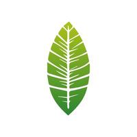 Grün Blatt Symbol. Elemente Design zum natürlich, Öko, vegan, bio Etiketten vektor