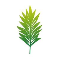 Grün Blatt Symbol. Elemente Design zum natürlich, Öko, vegan, bio Etiketten vektor