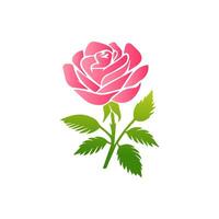 rosa reste sig blommor, blommig dekorerad med underbar flerfärgad blomning blommor och löv gräns. vår botanisk platt illustration på vit bakgrund vektor