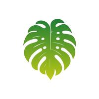 Grün Blatt Symbol grün. Elemente Design zum natürlich, Öko, vegan, bio Etiketten vektor