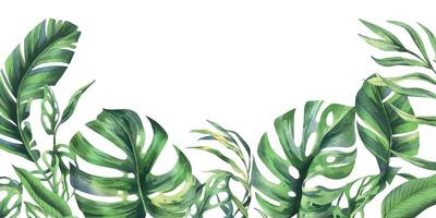 tropisch Kokosnuss, Banane Palme Blätter, Monstera, Affe Maske, Frangipani, hell saftig grün. Hand gezeichnet Aquarell botanisch Illustration. rahmen, Vorlage isoliert von Hintergrund vektor