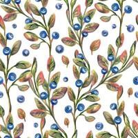 skog höst blåbär med löv. illustration hand dragen med vattenfärg kritor. sömlös mönster vektor