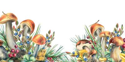 skog svamp, boletus, kantareller och blåbär, lingon, kvistar, kottar, löv. vattenfärg illustration, hand dragen mall på en vit bakgrund. vektor