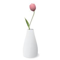 bukett av tulpan blomma i keramisk vas vit Färg isolerat grafisk illustration. vektor